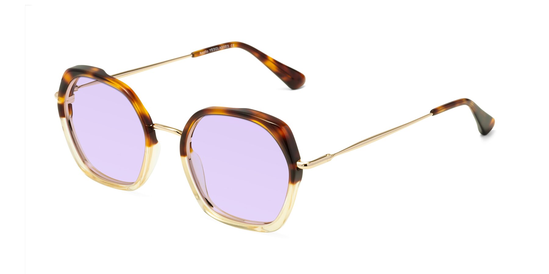 Angle of Apollo in Tortoise-Champagne with Light Purple Tinted Lenses