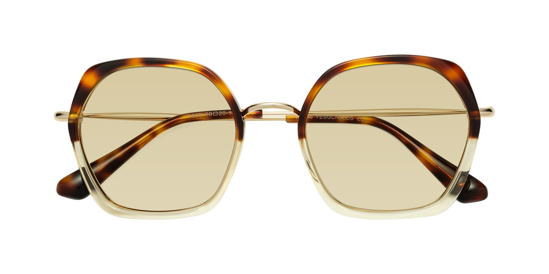 Folded Front of Apollo in Tortoise-Champagne with Light Champagne Tinted Lenses