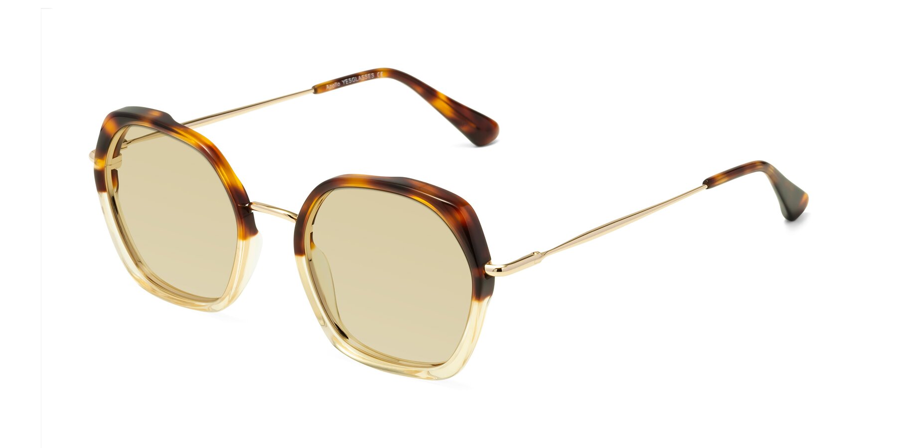 Angle of Apollo in Tortoise-Champagne with Light Champagne Tinted Lenses