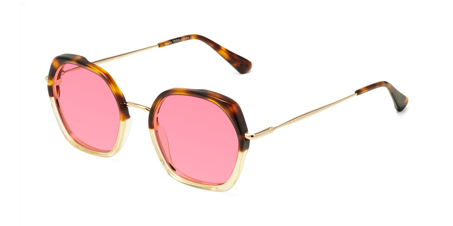 Angle of Apollo in Tortoise-Champagne with Pink Tinted Lenses