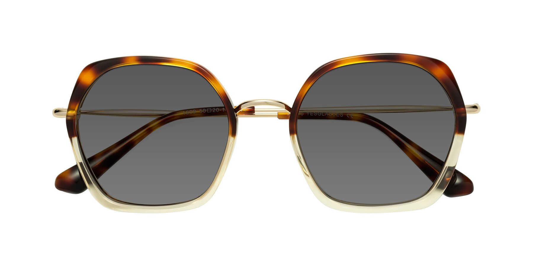 Folded Front of Apollo in Tortoise-Champagne with Medium Gray Tinted Lenses