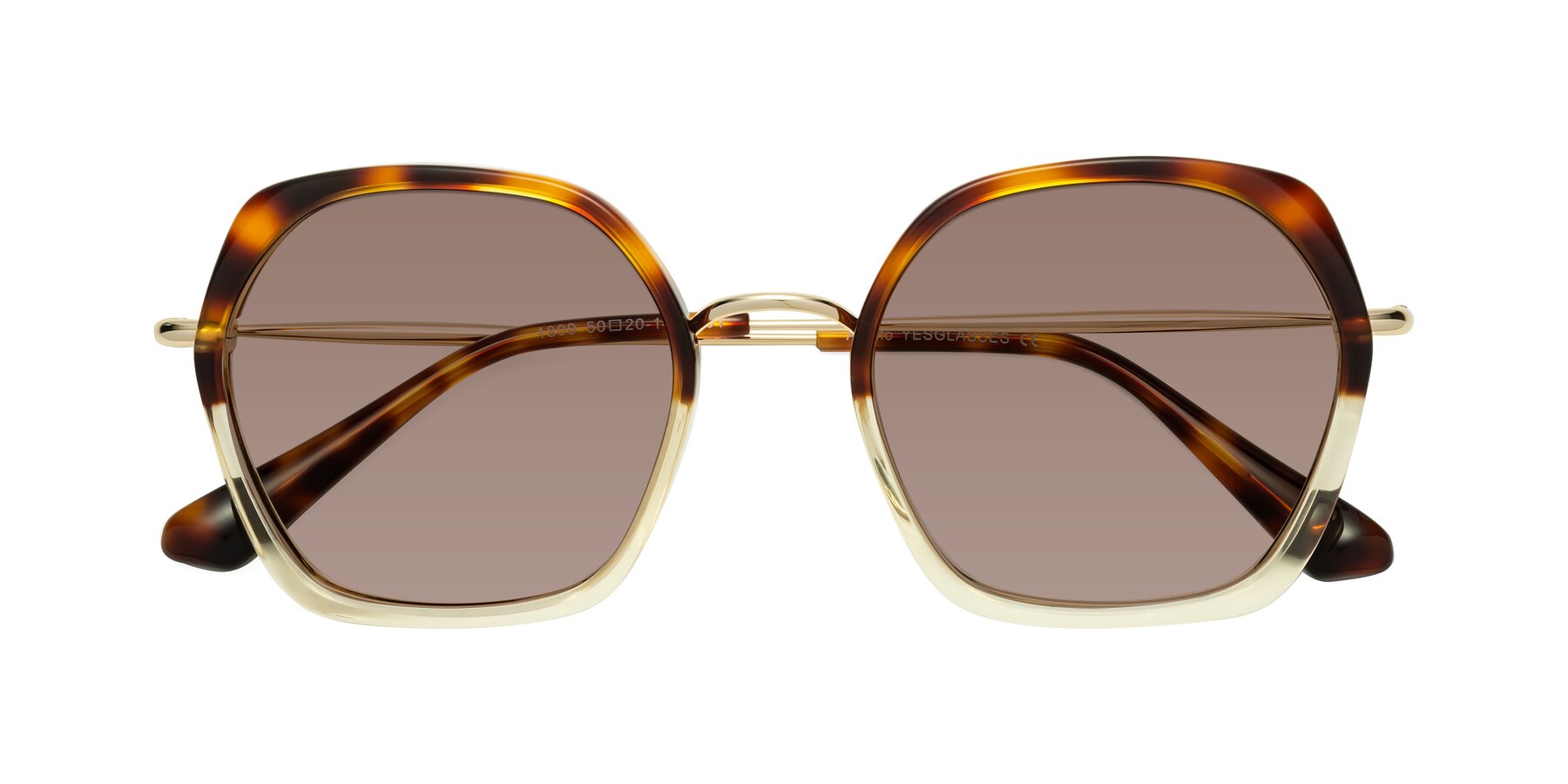 Folded Front of Apollo in Tortoise-Champagne with Medium Brown Tinted Lenses