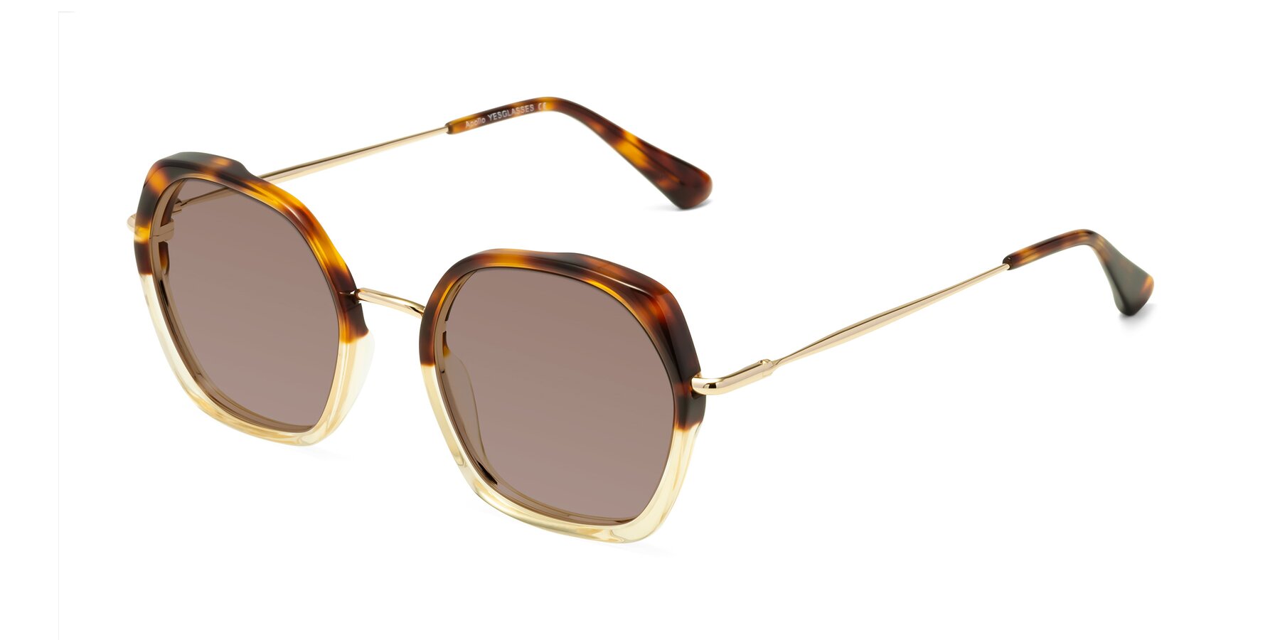 Angle of Apollo in Tortoise-Champagne with Medium Brown Tinted Lenses