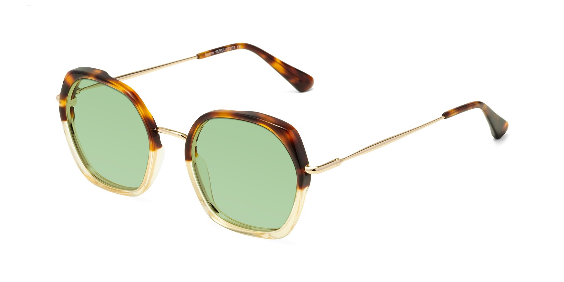 Angle of Apollo in Tortoise-Champagne with Medium Green Tinted Lenses