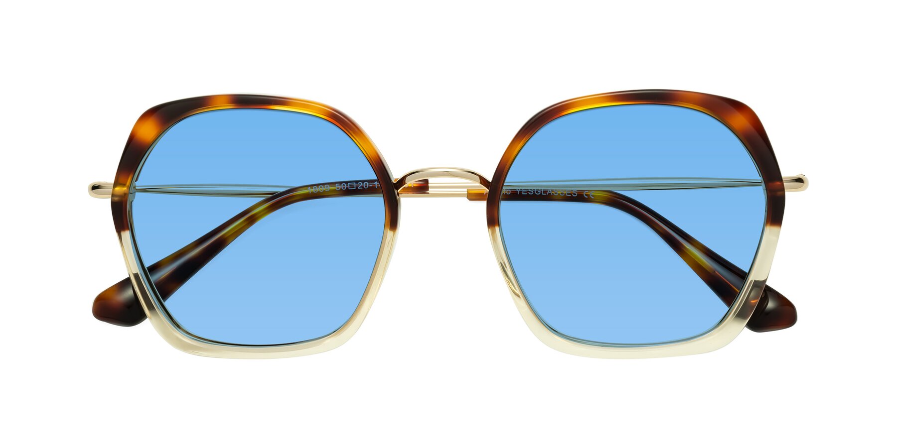 Folded Front of Apollo in Tortoise-Champagne with Medium Blue Tinted Lenses