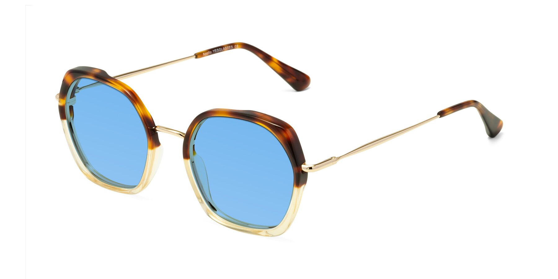 Angle of Apollo in Tortoise-Champagne with Medium Blue Tinted Lenses