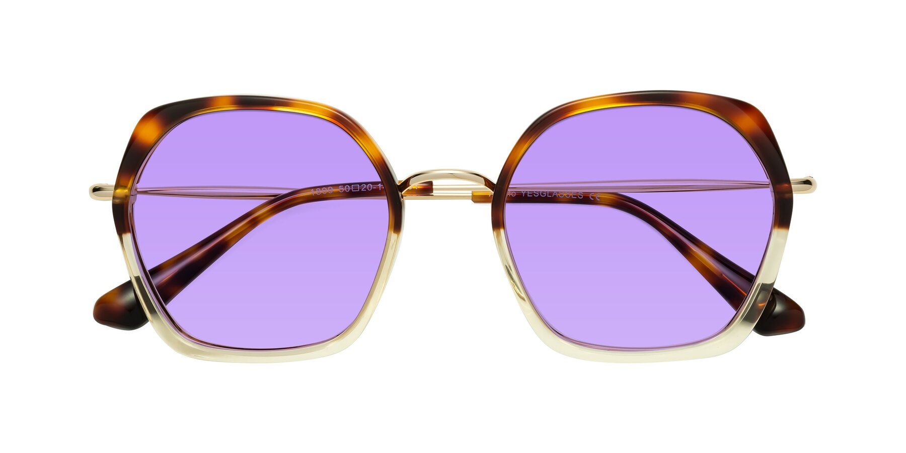 Folded Front of Apollo in Tortoise-Champagne with Medium Purple Tinted Lenses