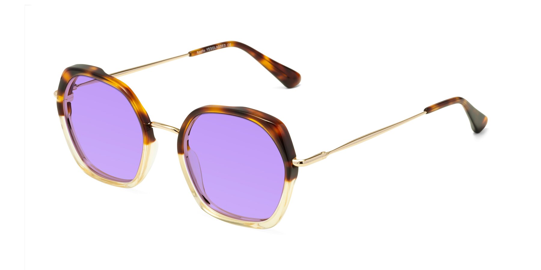 Angle of Apollo in Tortoise-Champagne with Medium Purple Tinted Lenses