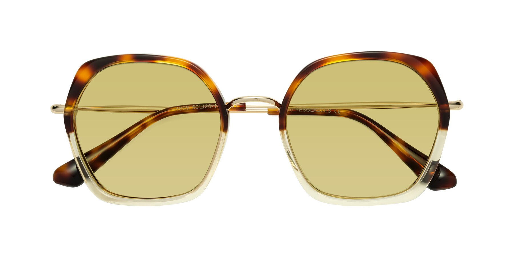 Folded Front of Apollo in Tortoise-Champagne with Medium Champagne Tinted Lenses