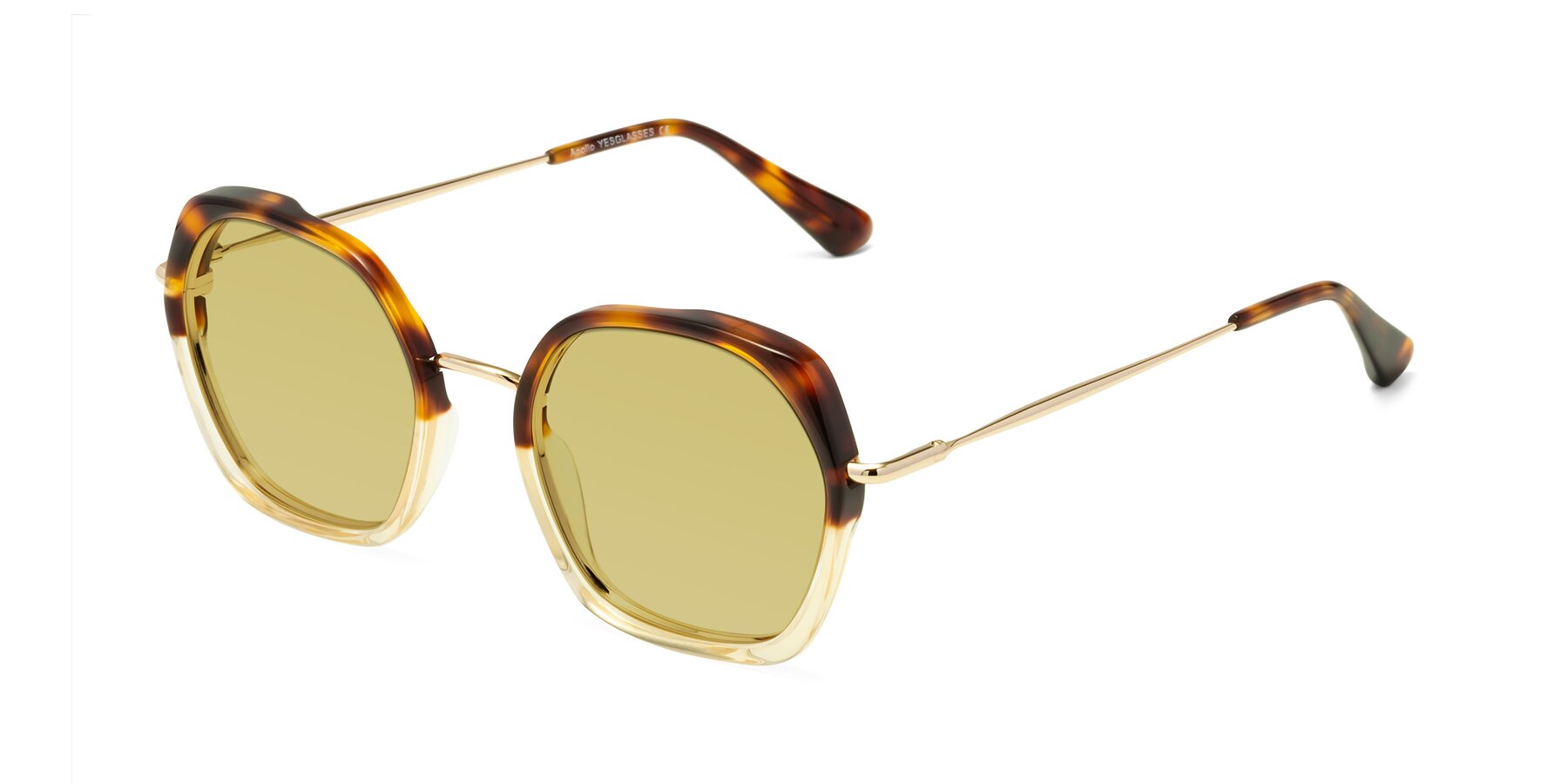 Angle of Apollo in Tortoise-Champagne with Medium Champagne Tinted Lenses