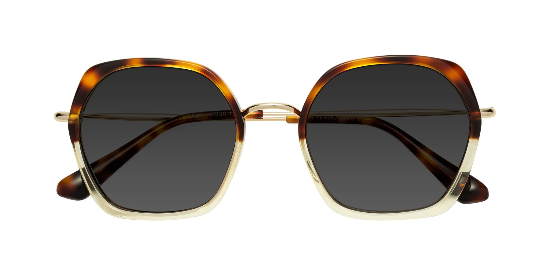 Folded Front of Apollo in Tortoise-Champagne with Gray Tinted Lenses