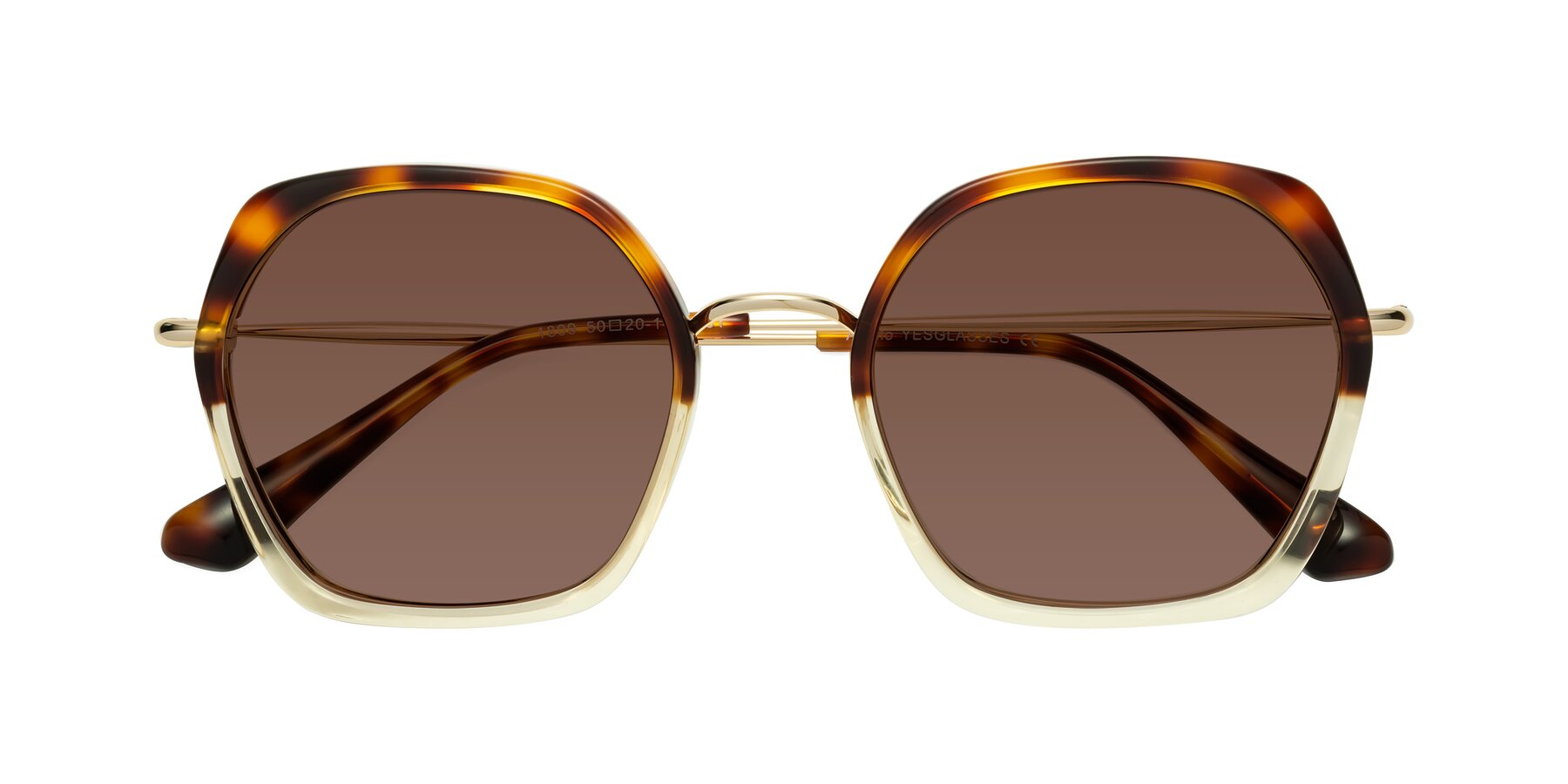 Folded Front of Apollo in Tortoise-Champagne with Brown Tinted Lenses