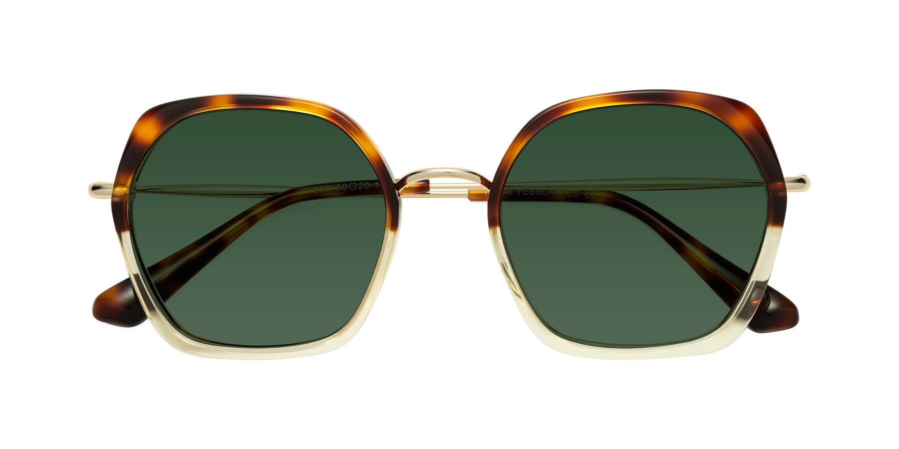 Folded Front of Apollo in Tortoise-Champagne with Green Tinted Lenses