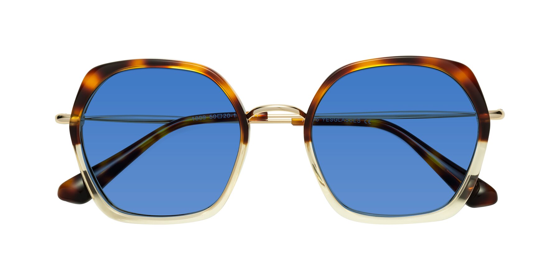 Folded Front of Apollo in Tortoise-Champagne with Blue Tinted Lenses