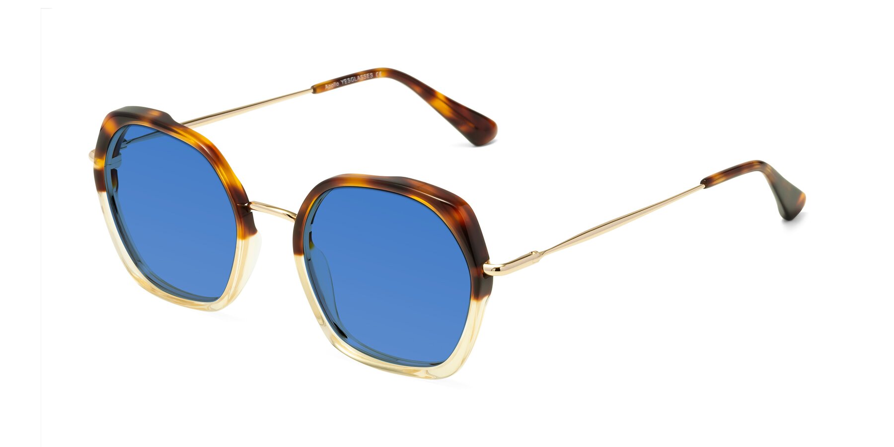 Angle of Apollo in Tortoise-Champagne with Blue Tinted Lenses