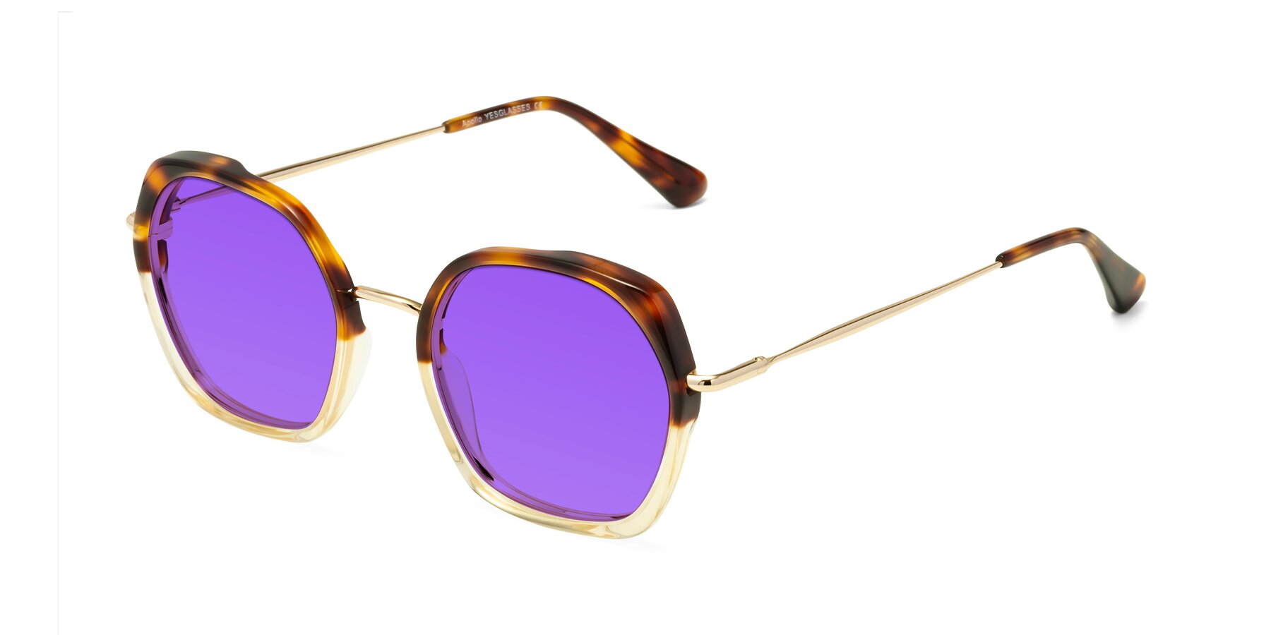 Angle of Apollo in Tortoise-Champagne with Purple Tinted Lenses
