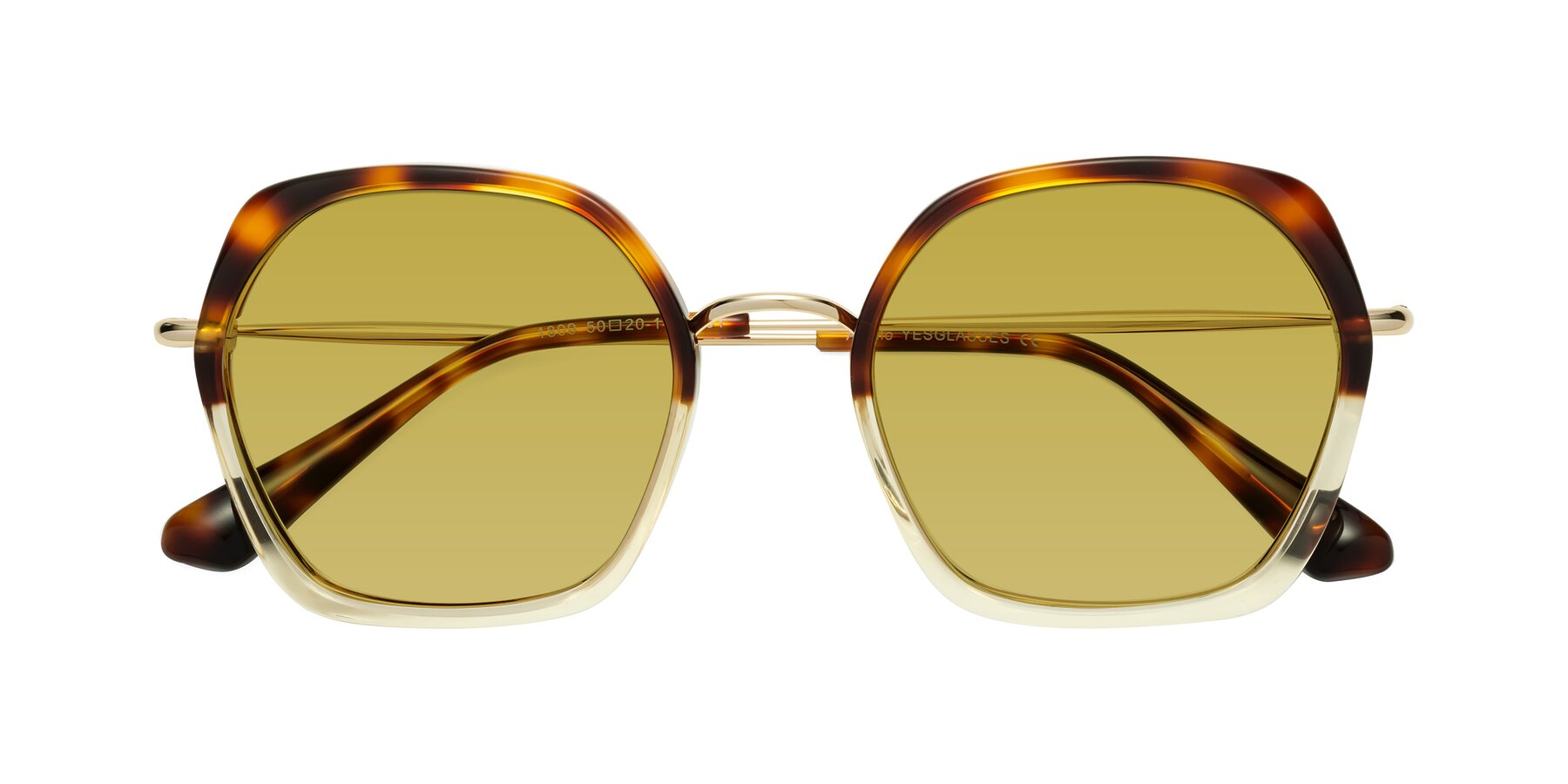 Folded Front of Apollo in Tortoise-Champagne with Champagne Tinted Lenses