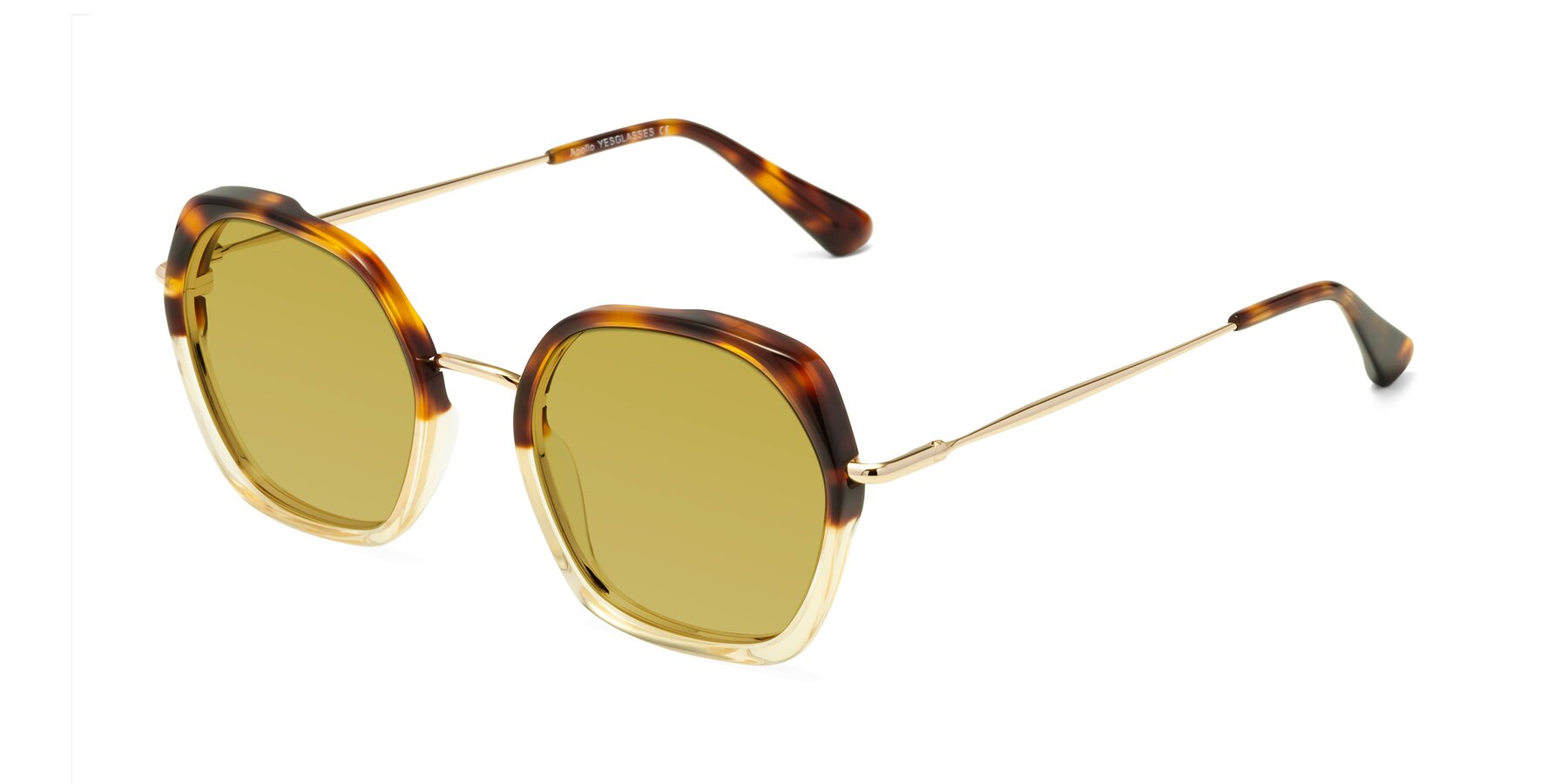 Angle of Apollo in Tortoise-Champagne with Champagne Tinted Lenses