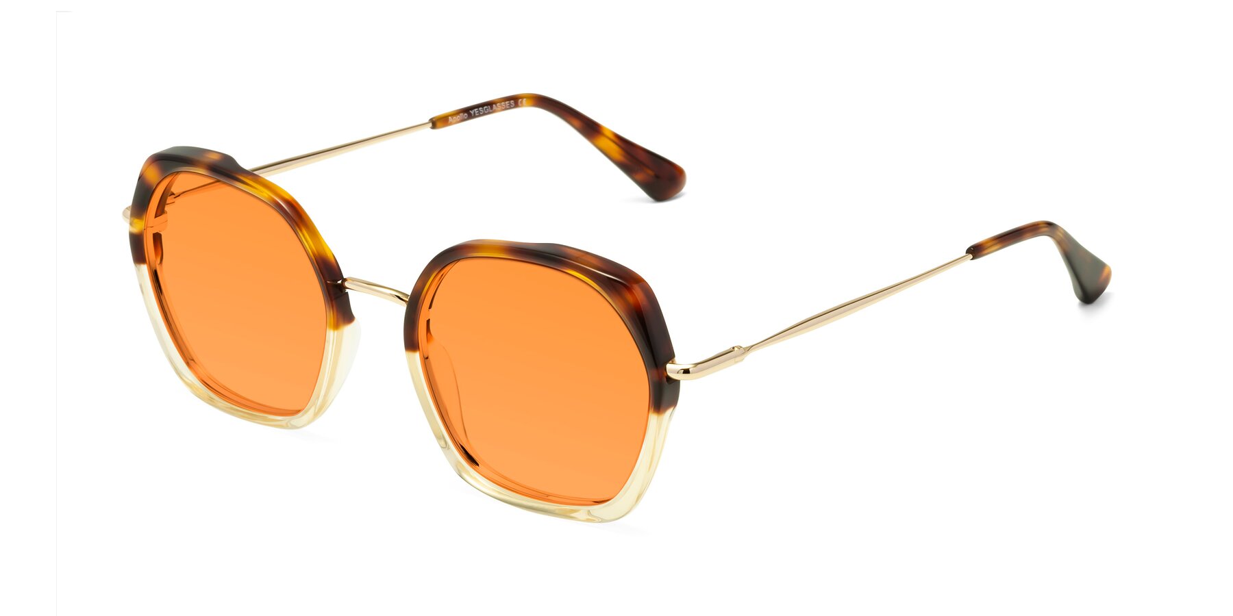 Angle of Apollo in Tortoise-Champagne with Orange Tinted Lenses
