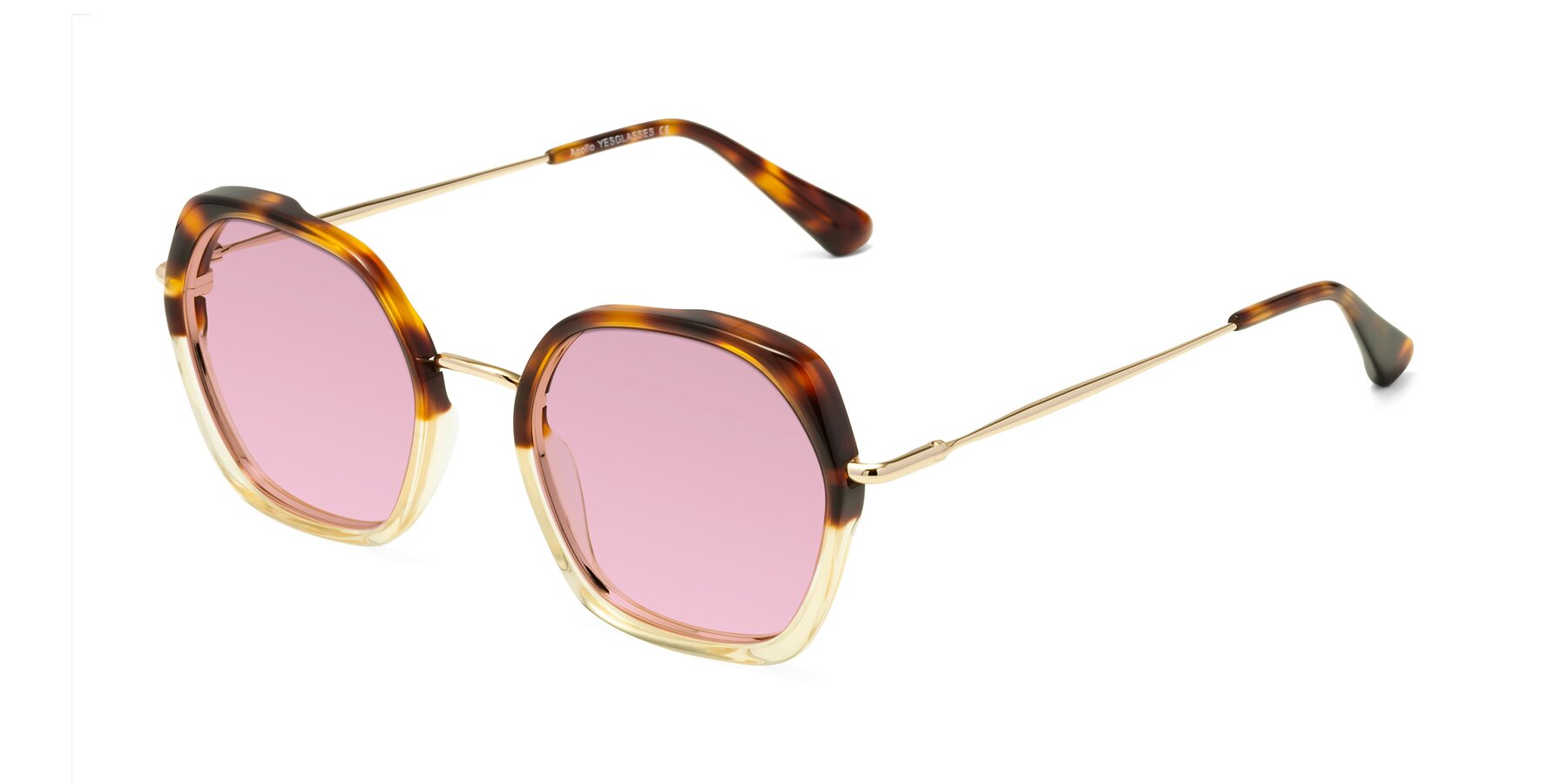 Angle of Apollo in Tortoise-Champagne with Light Wine Tinted Lenses