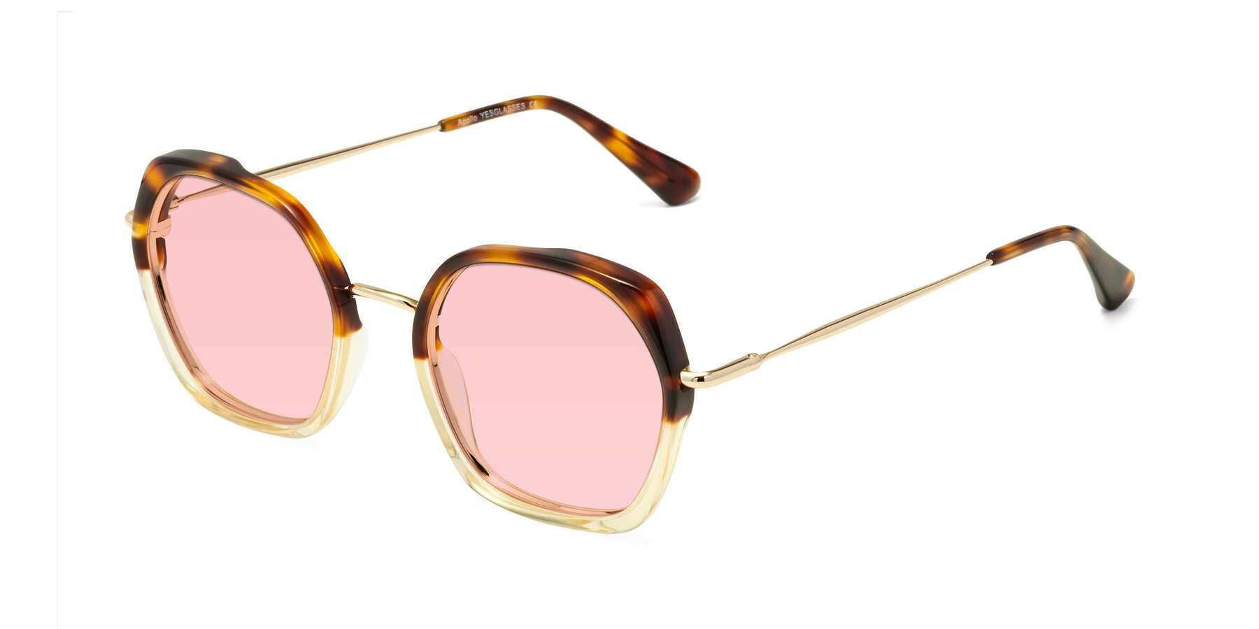 Angle of Apollo in Tortoise-Champagne with Light Garnet Tinted Lenses