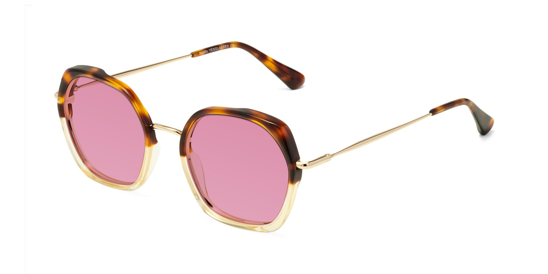 Angle of Apollo in Tortoise-Champagne with Medium Wine Tinted Lenses