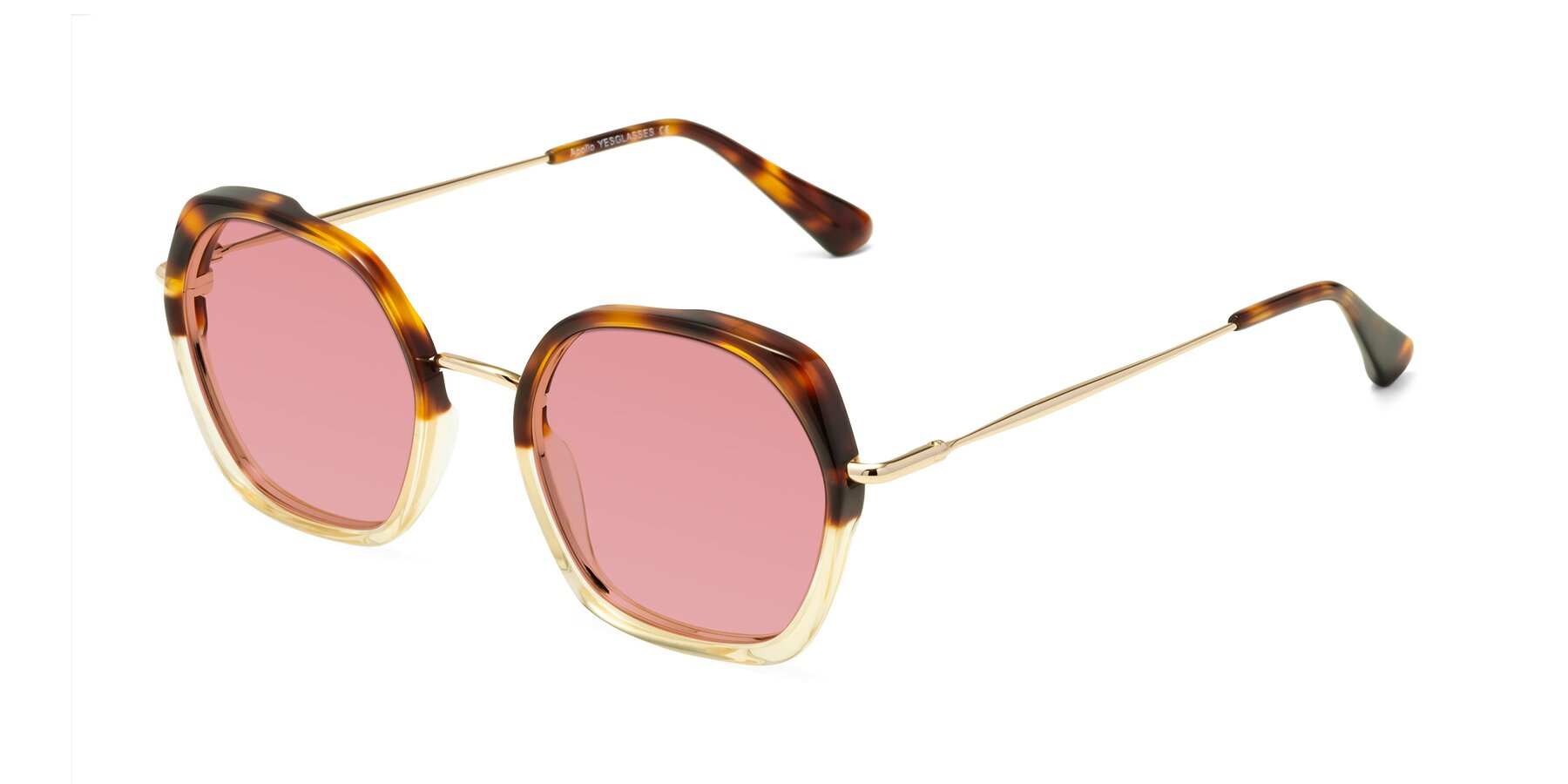 Angle of Apollo in Tortoise-Champagne with Medium Garnet Tinted Lenses