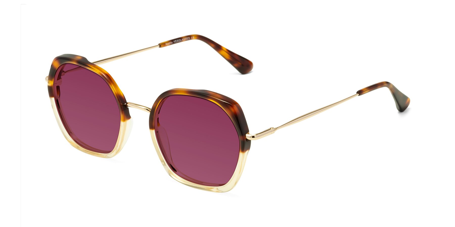 Angle of Apollo in Tortoise-Champagne with Wine Tinted Lenses