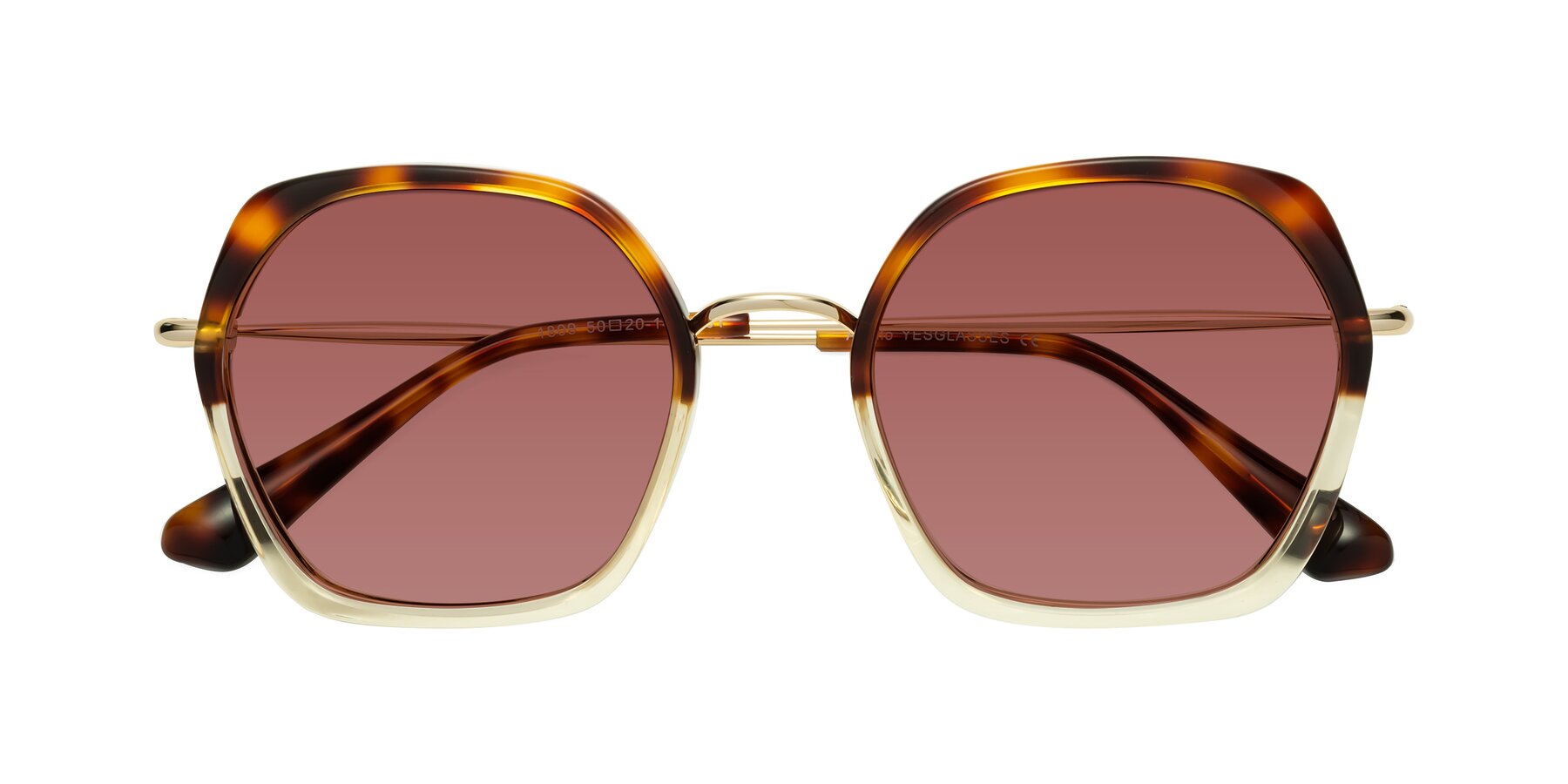 Folded Front of Apollo in Tortoise-Champagne with Garnet Tinted Lenses