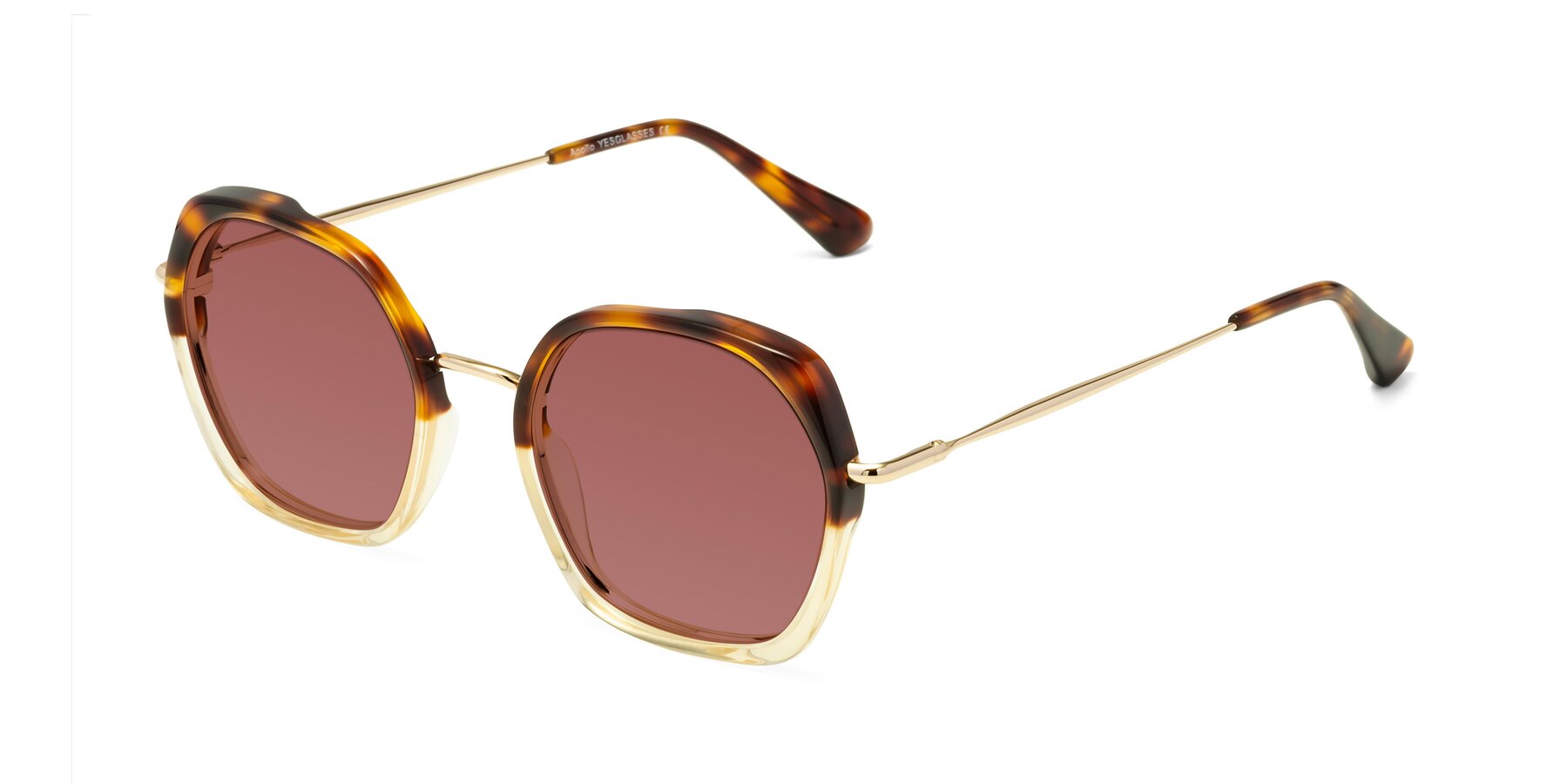 Angle of Apollo in Tortoise-Champagne with Garnet Tinted Lenses