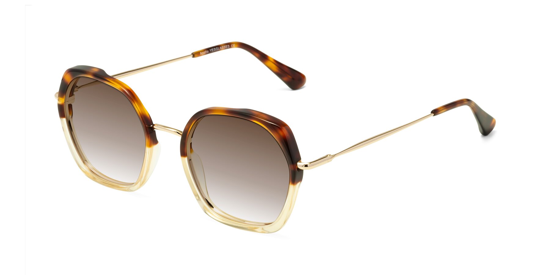 Angle of Apollo in Tortoise-Champagne with Brown Gradient Lenses