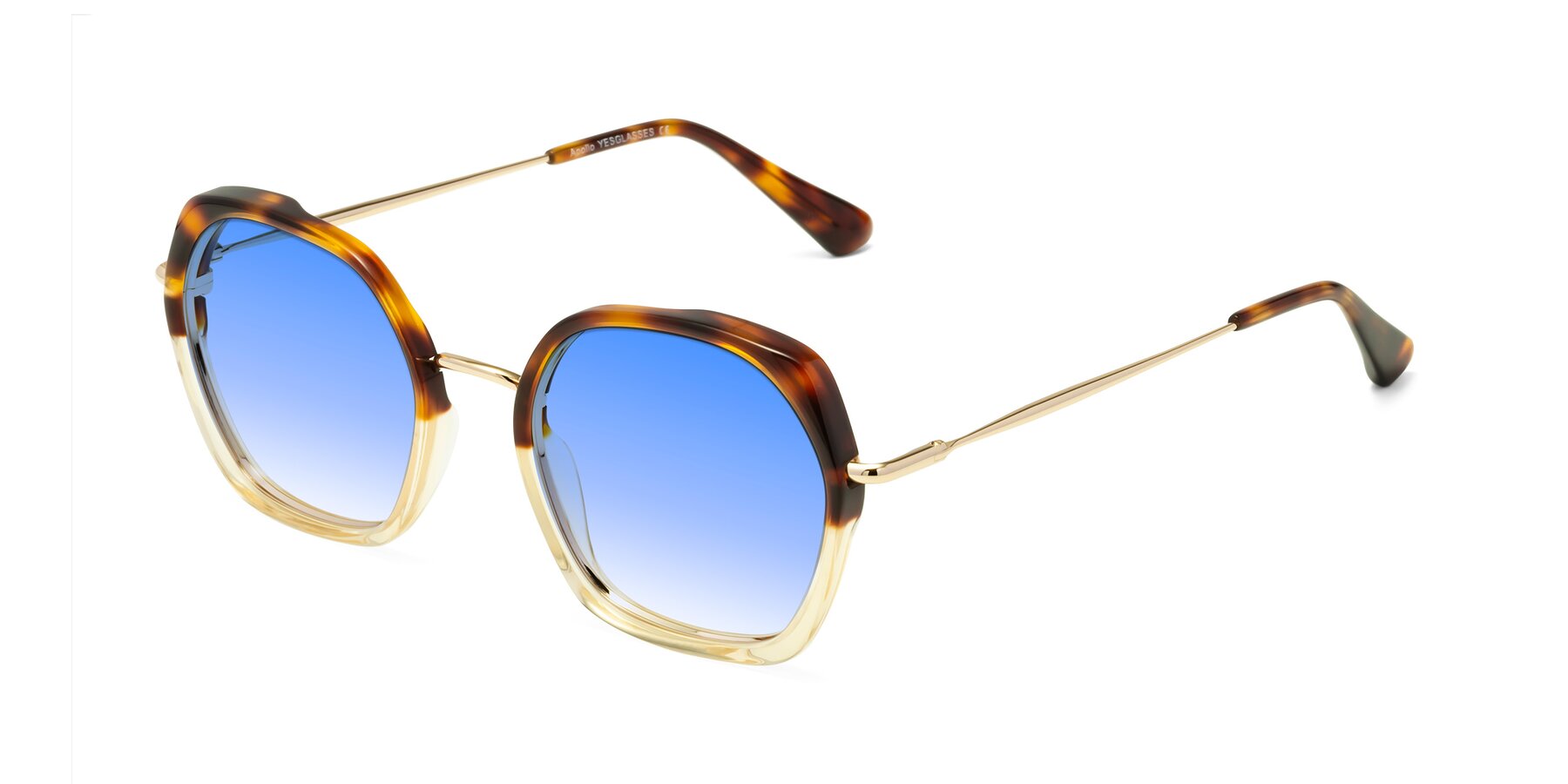 Angle of Apollo in Tortoise-Champagne with Blue Gradient Lenses