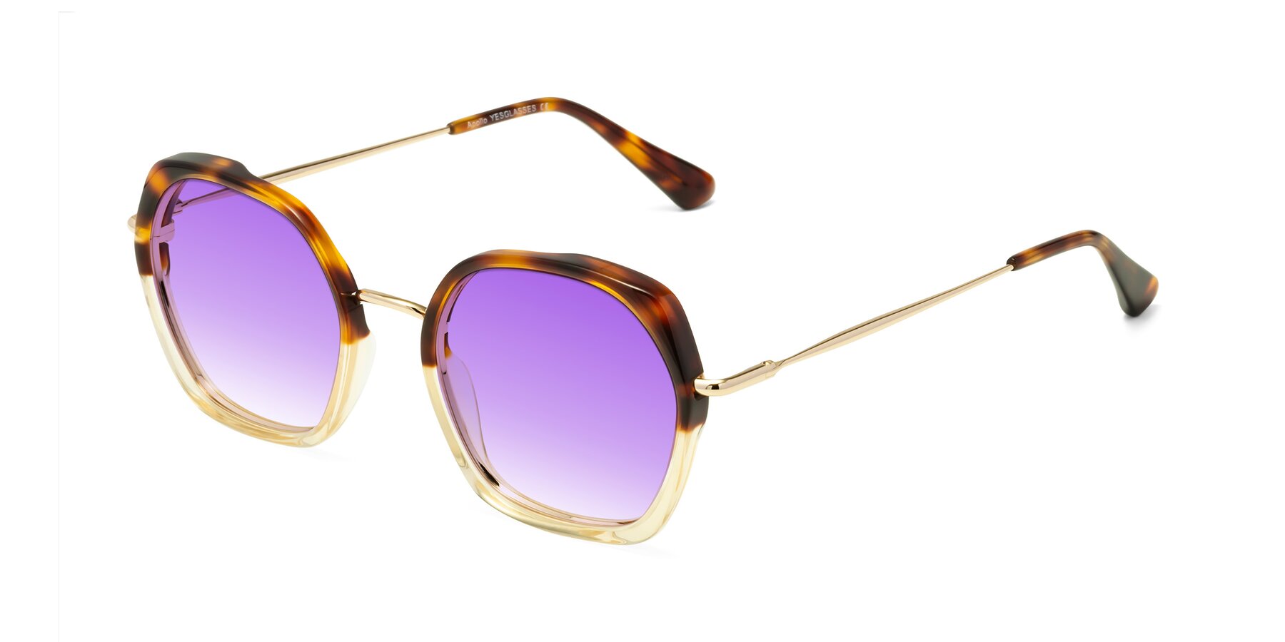 Angle of Apollo in Tortoise-Champagne with Purple Gradient Lenses