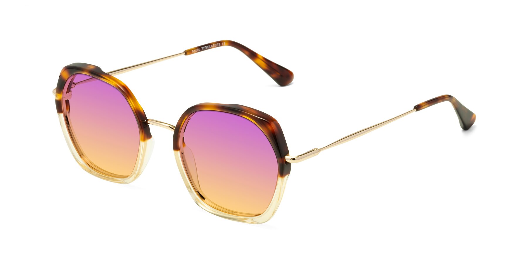 Angle of Apollo in Tortoise-Champagne with Purple / Yellow Gradient Lenses