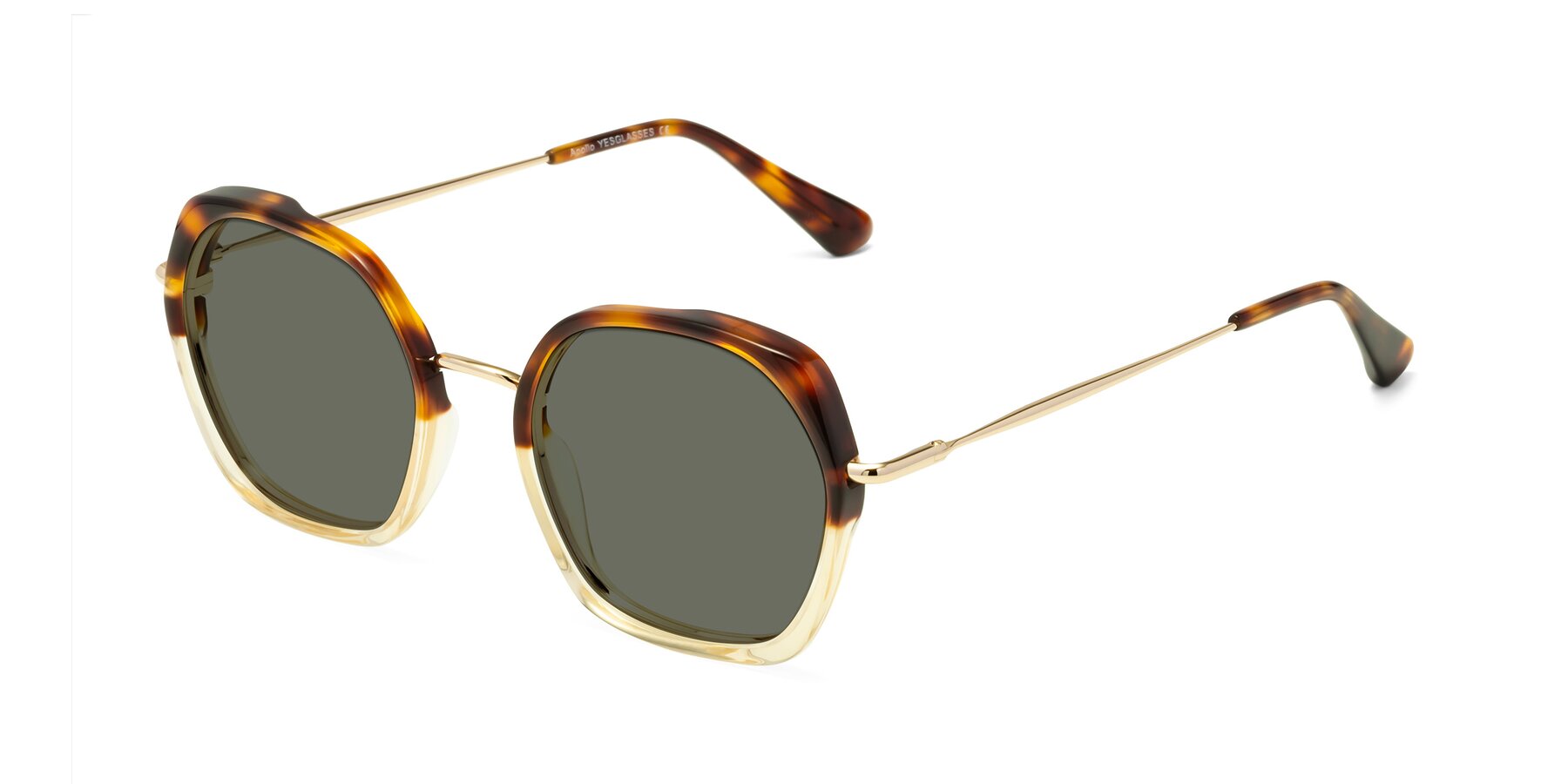 Angle of Apollo in Tortoise-Champagne with Gray Polarized Lenses