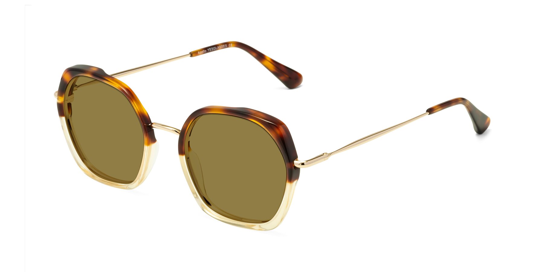 Angle of Apollo in Tortoise-Champagne with Brown Polarized Lenses