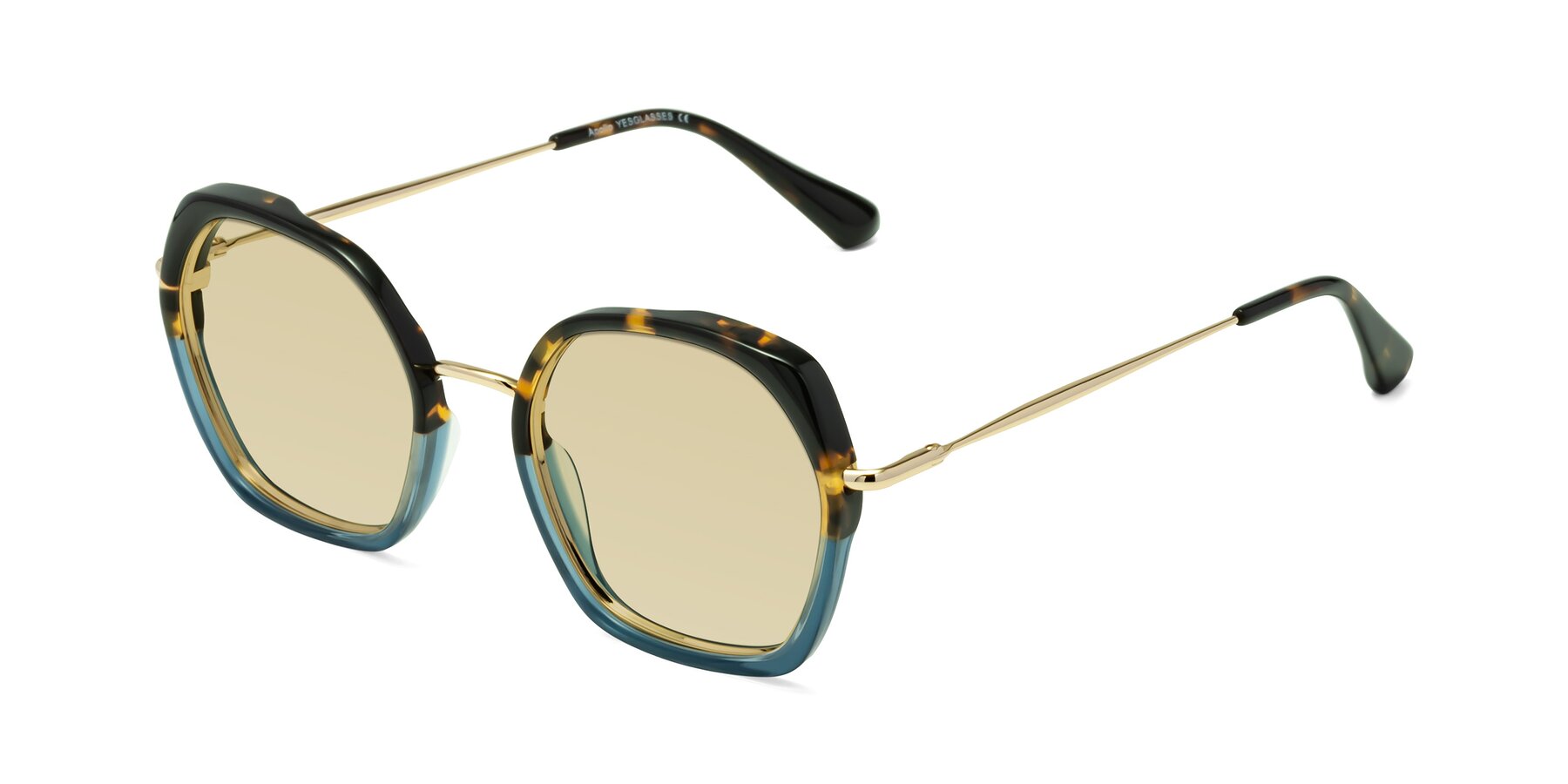 Angle of Apollo in Tortoise-Blue with Light Champagne Tinted Lenses