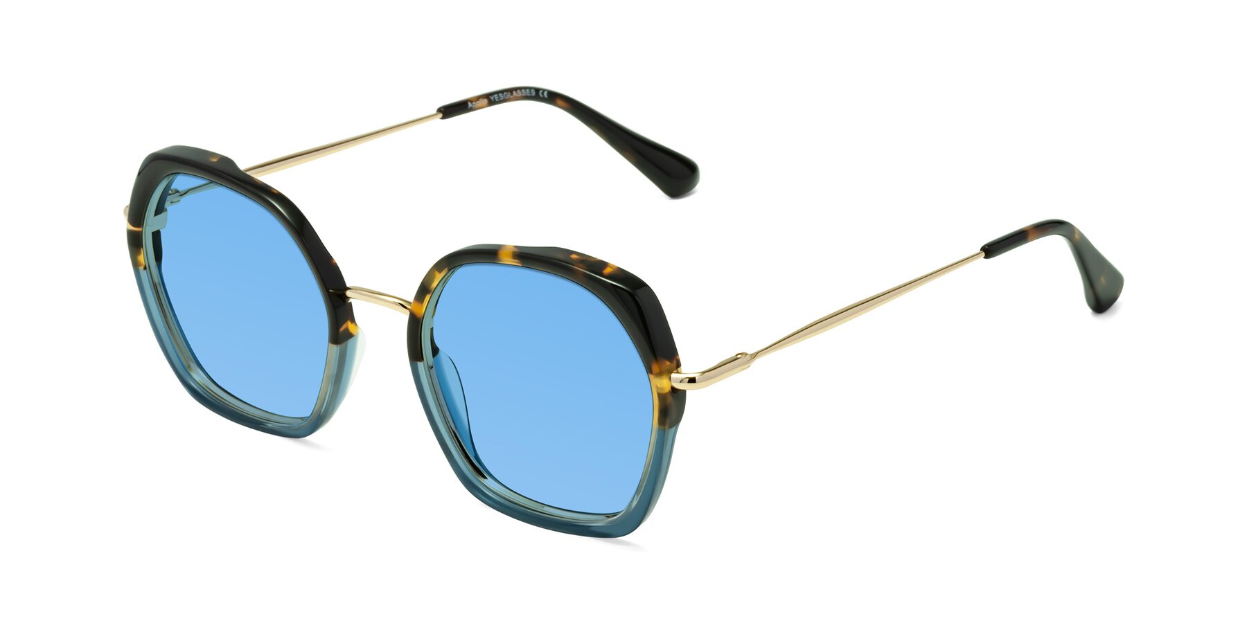 Angle of Apollo in Tortoise-Blue with Medium Blue Tinted Lenses