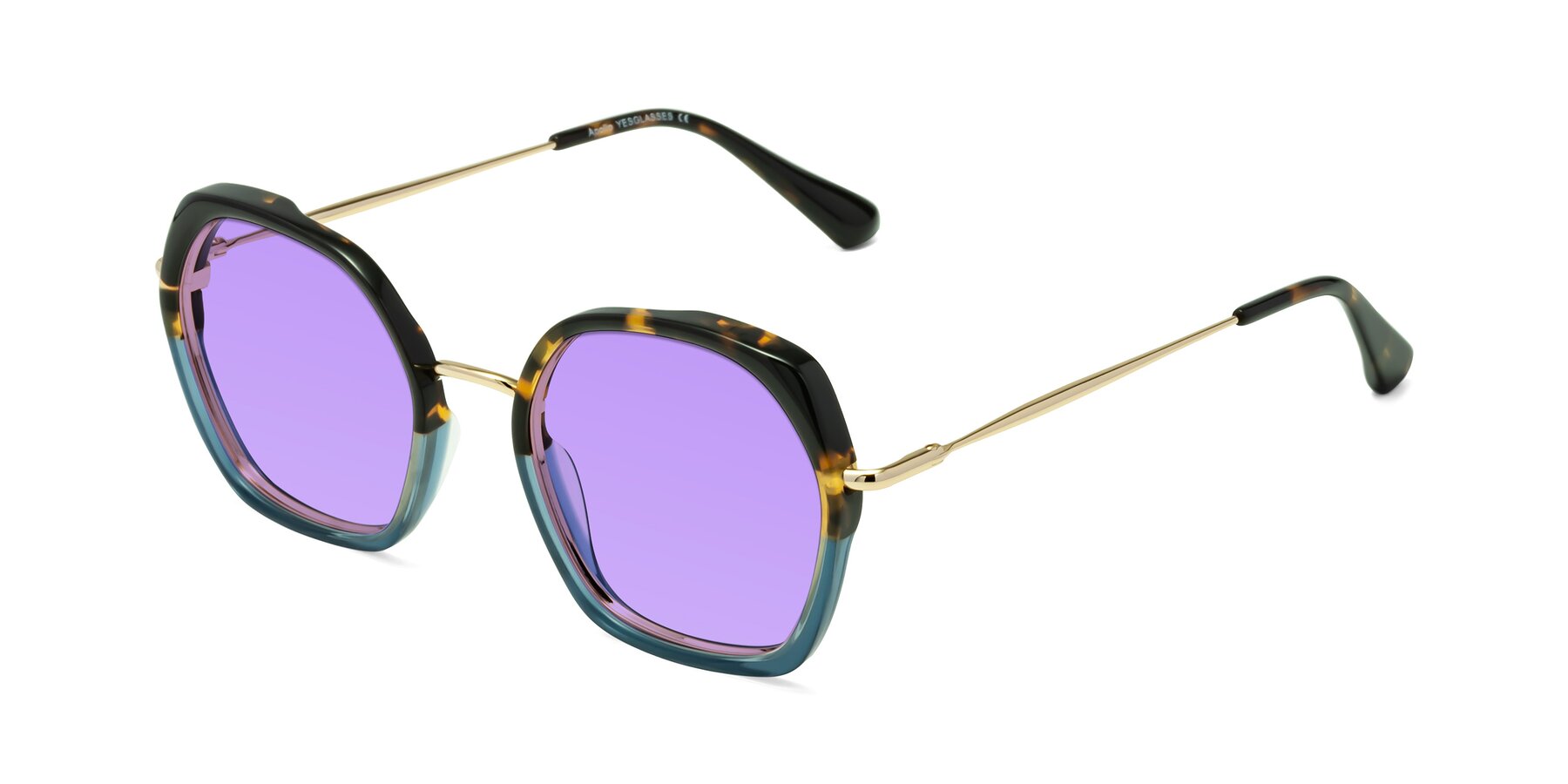 Angle of Apollo in Tortoise-Blue with Medium Purple Tinted Lenses