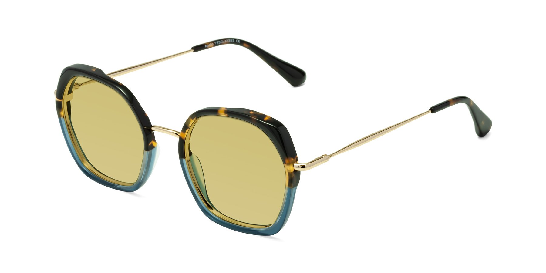 Angle of Apollo in Tortoise-Blue with Medium Champagne Tinted Lenses