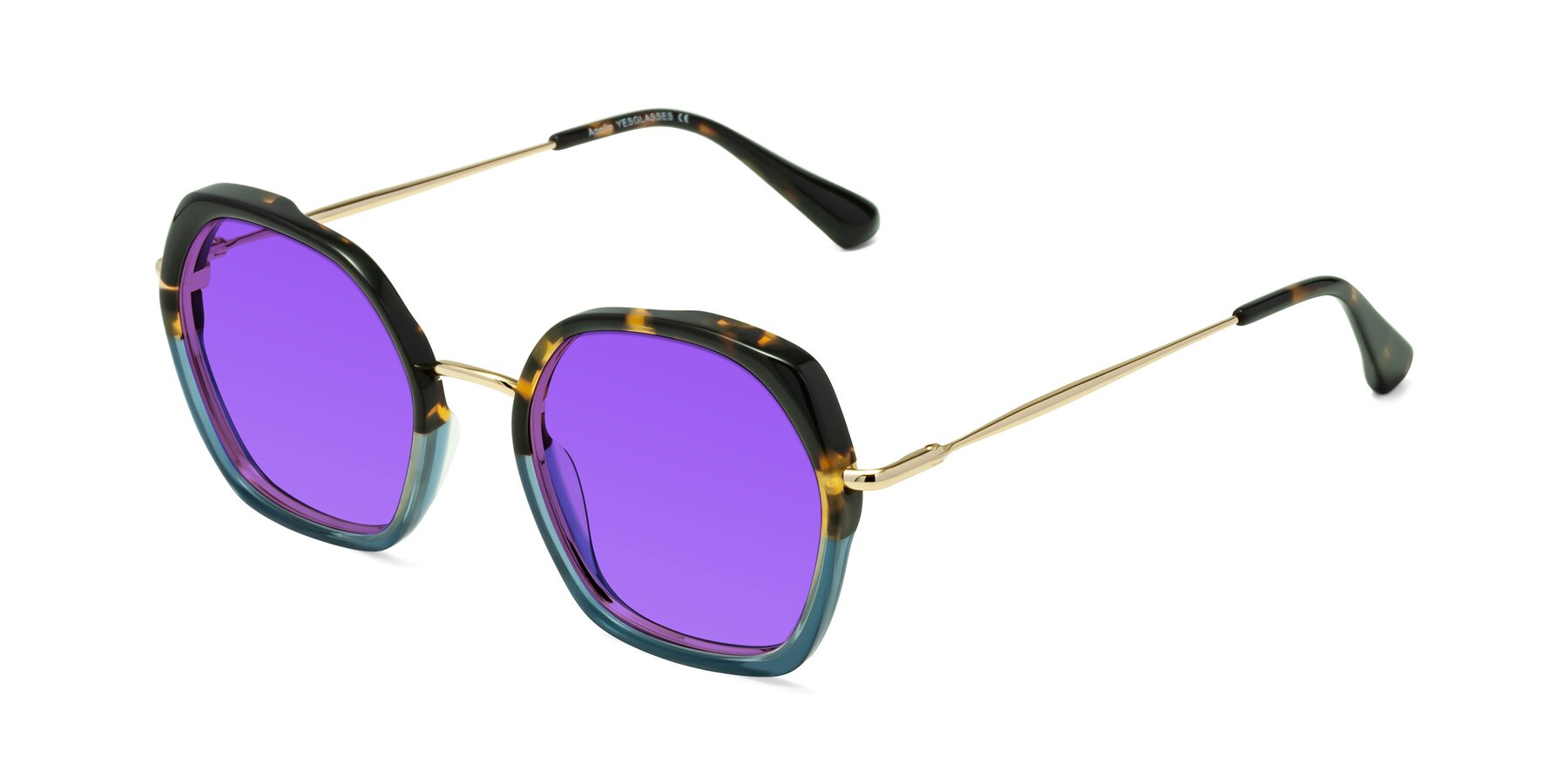 Angle of Apollo in Tortoise-Blue with Purple Tinted Lenses