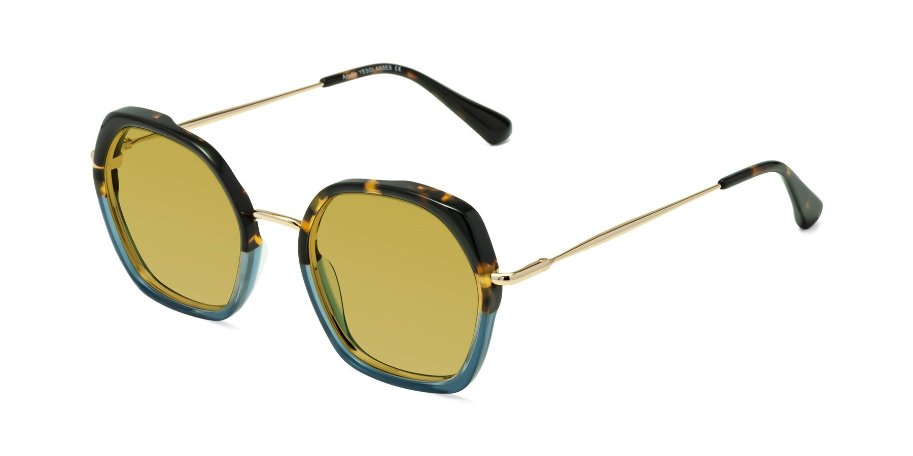 Angle of Apollo in Tortoise-Blue with Champagne Tinted Lenses