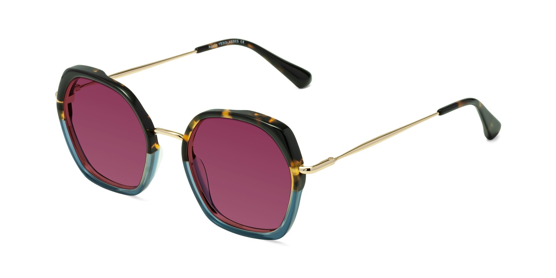 Angle of Apollo in Tortoise-Blue with Wine Tinted Lenses