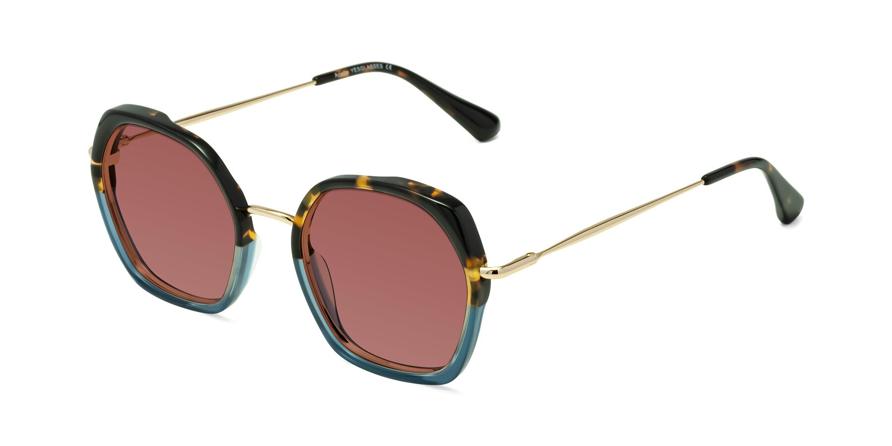 Angle of Apollo in Tortoise-Blue with Garnet Tinted Lenses