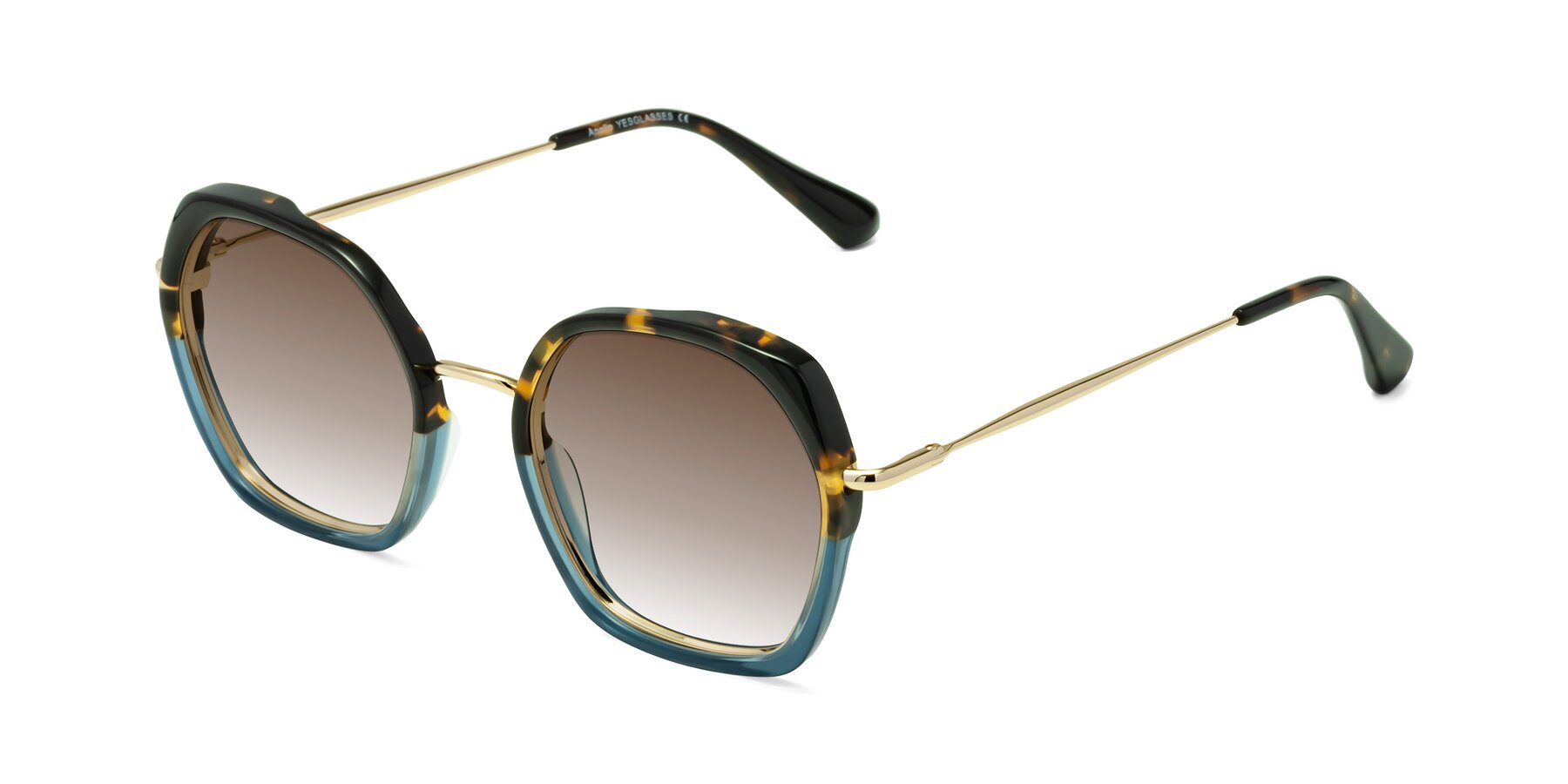 Angle of Apollo in Tortoise-Blue with Brown Gradient Lenses