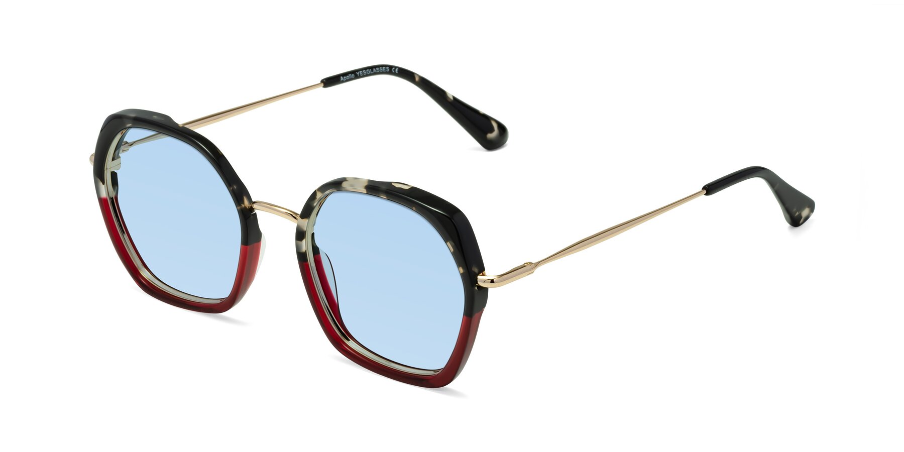 Angle of Apollo in Tortoise-Wine with Light Blue Tinted Lenses