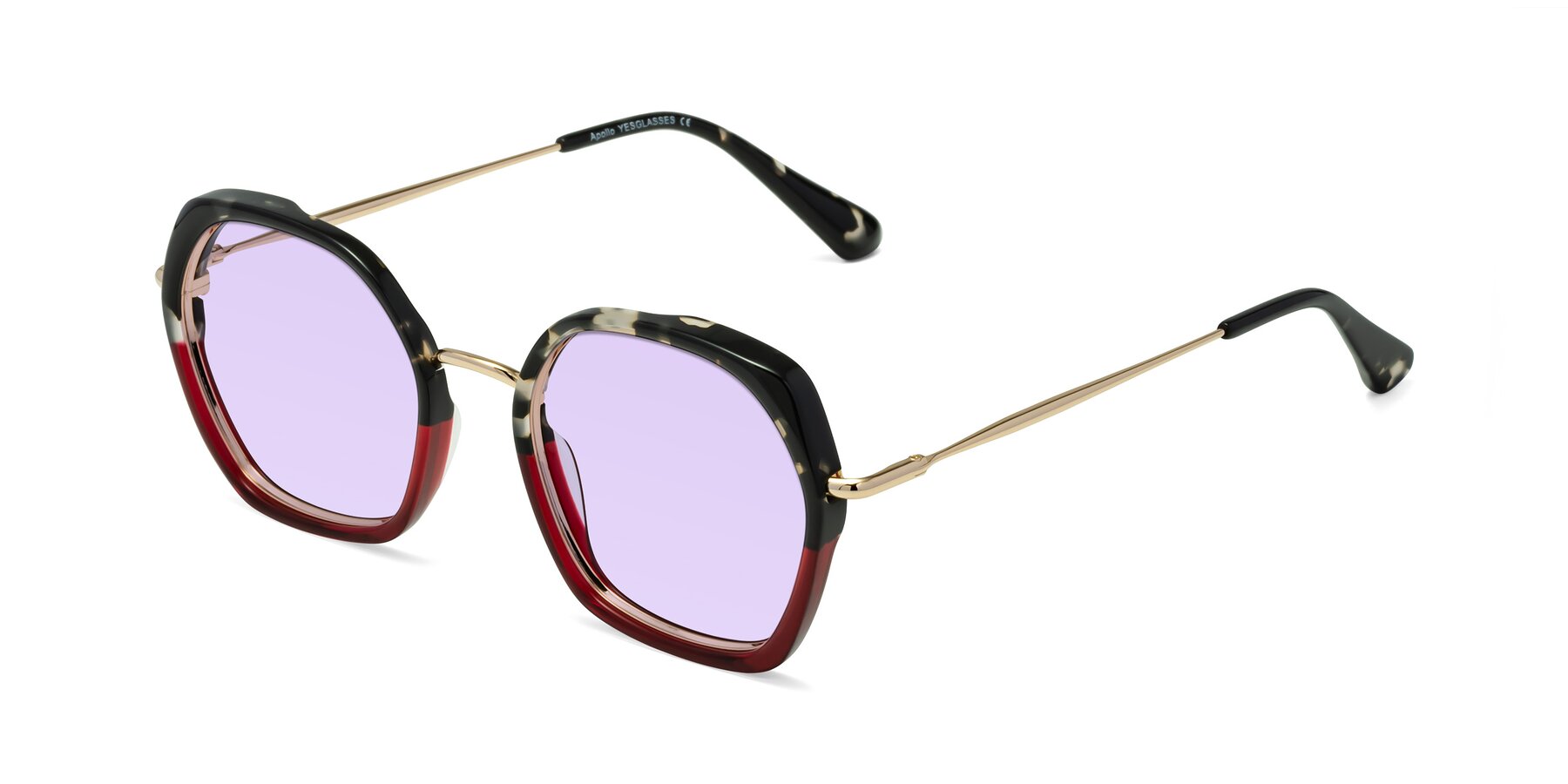 Angle of Apollo in Tortoise-Wine with Light Purple Tinted Lenses