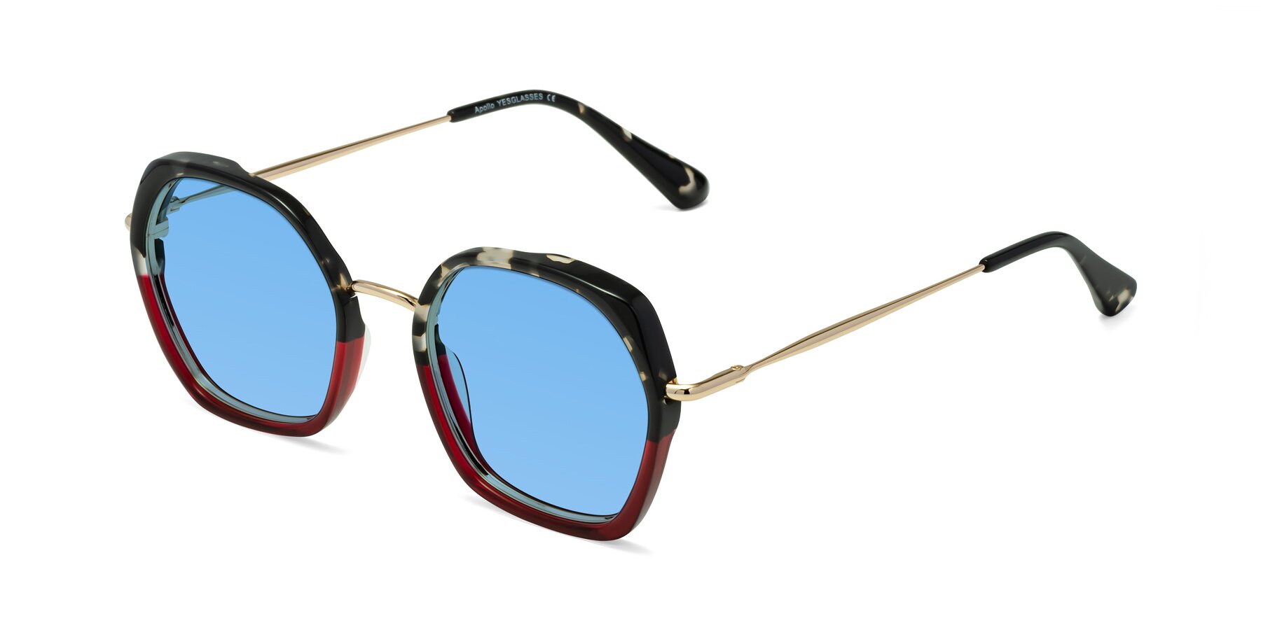 Angle of Apollo in Tortoise-Wine with Medium Blue Tinted Lenses