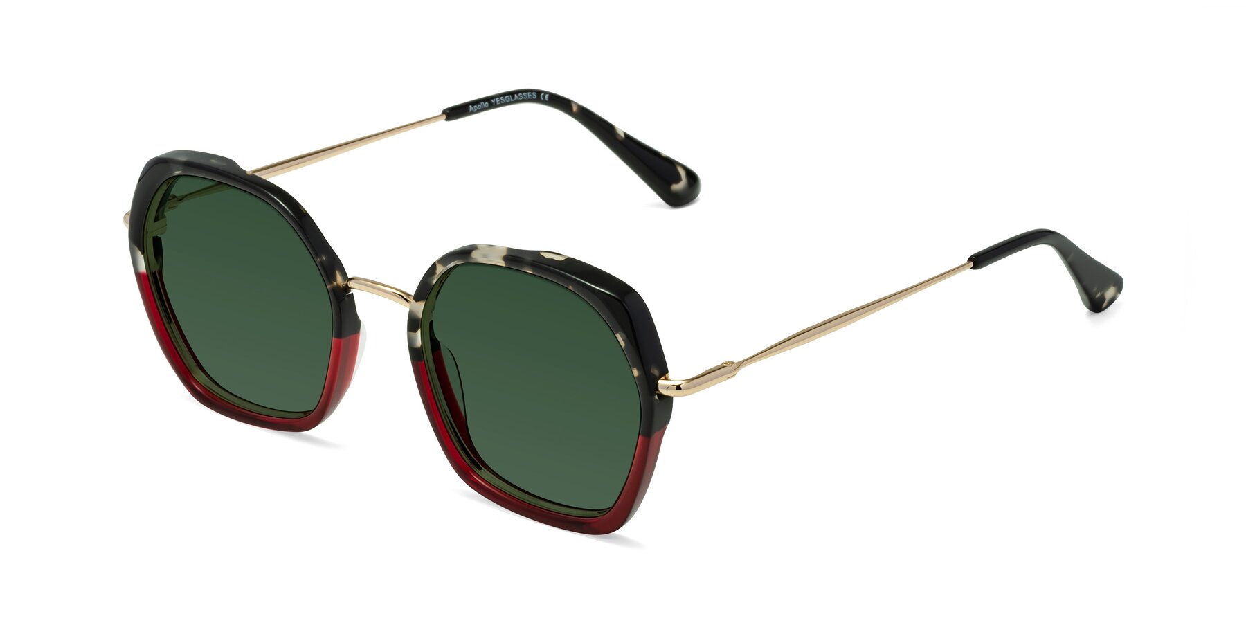 Angle of Apollo in Tortoise-Wine with Green Tinted Lenses