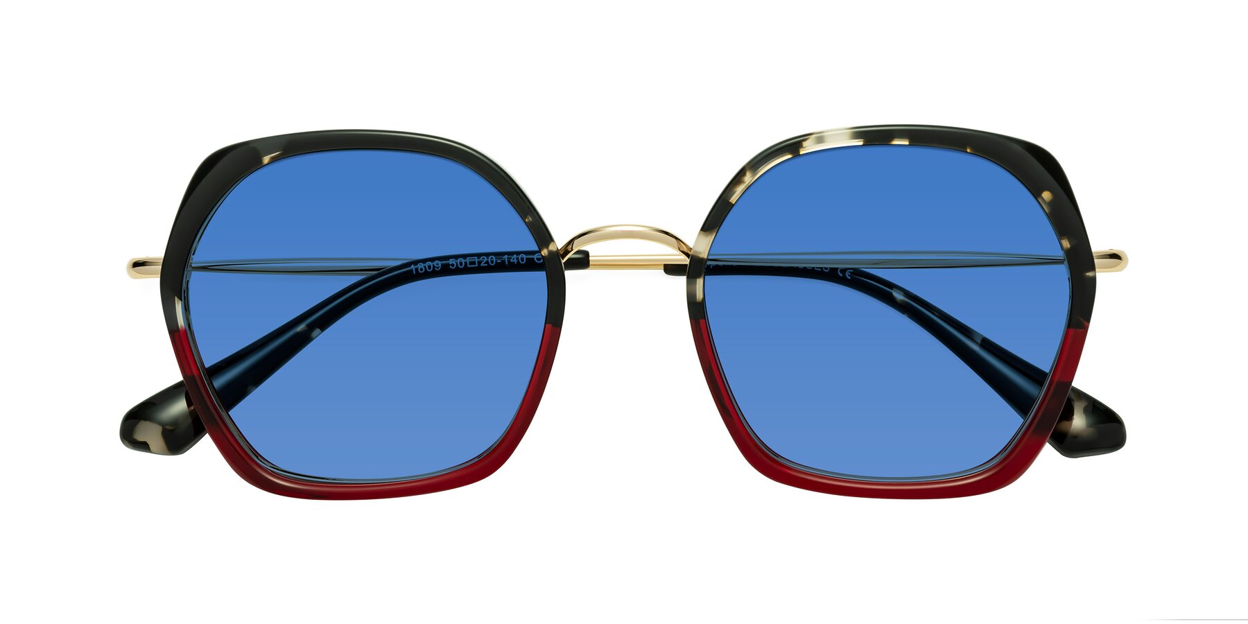 Folded Front of Apollo in Tortoise-Wine with Blue Tinted Lenses
